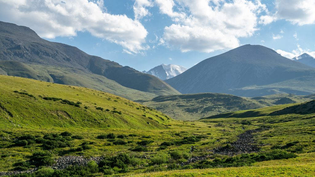 Snowshoe Discovery Tour guide-led outdoor tour