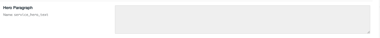 Hero paragraph field in the Services Tool